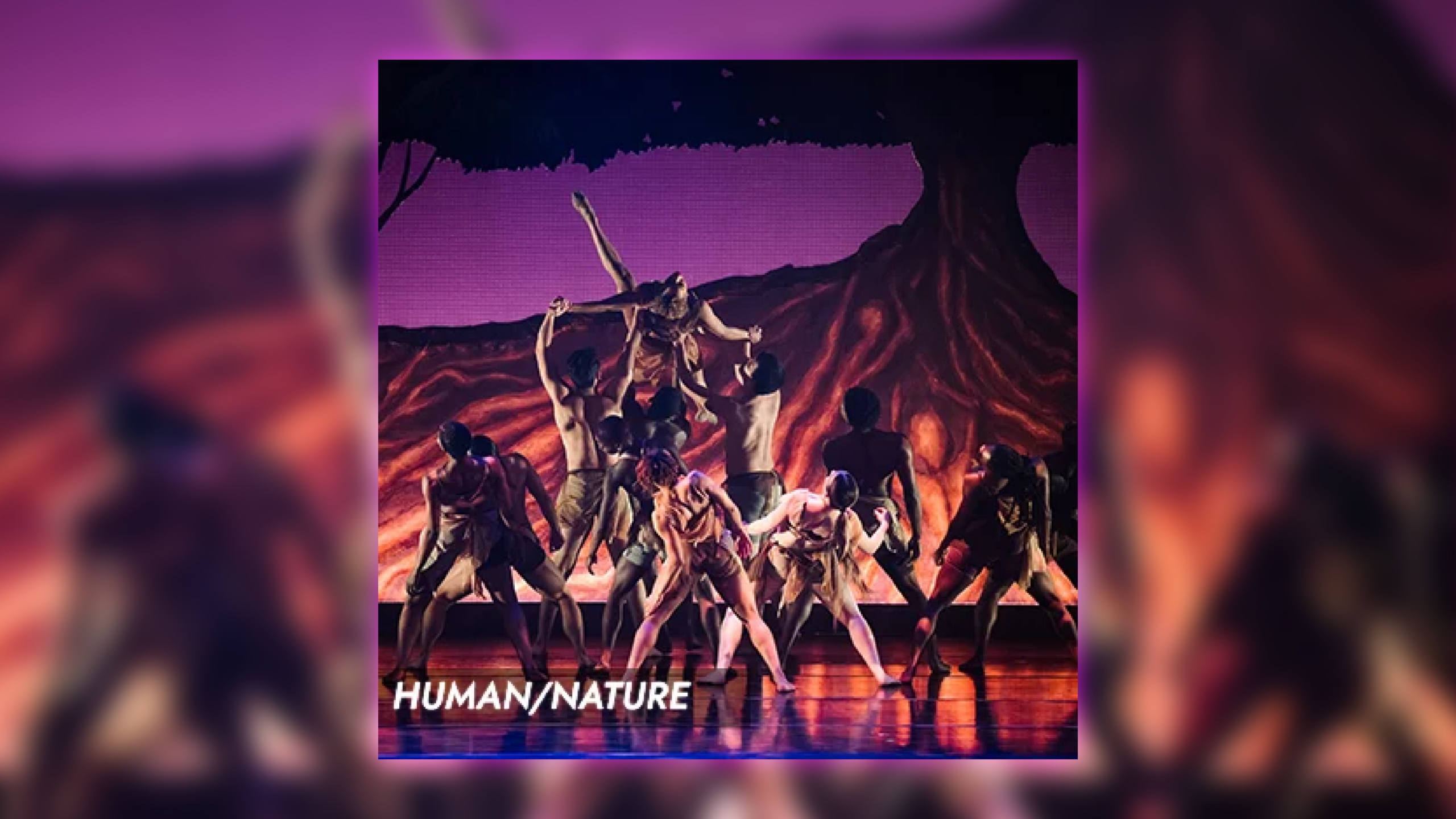 DCDC Human Nature